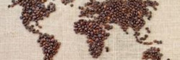  Café de Comercio Justo (III): La solución al problema: un café más “justo"